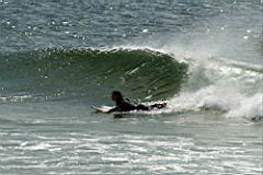 0314 Plettenberg Bay IMG_3123.jpg